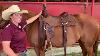 King Series Brown Leather Western Draft Horse Trail Saddle 16 Used
